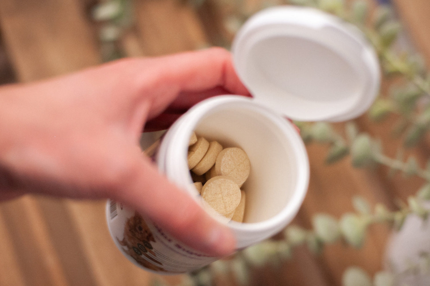 Debunking Common Myths About Dog Supplements, Joint supplements for dogs