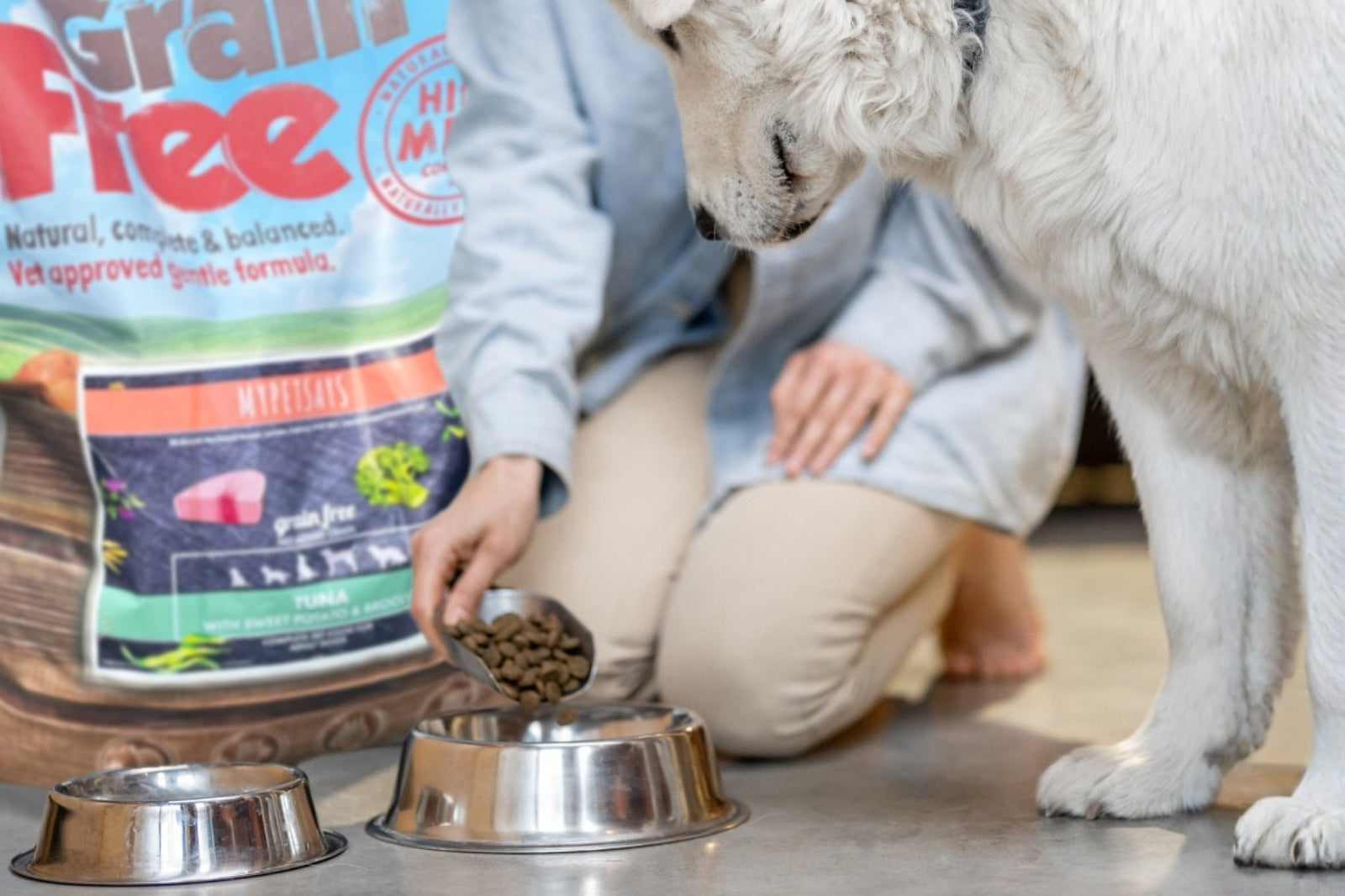 Grain-Free Dog Food: The Right Option for Your Pooch?