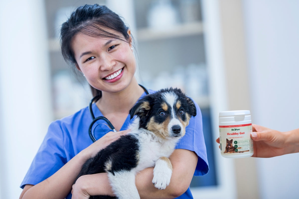 Vet recommended best dog probiotics uk