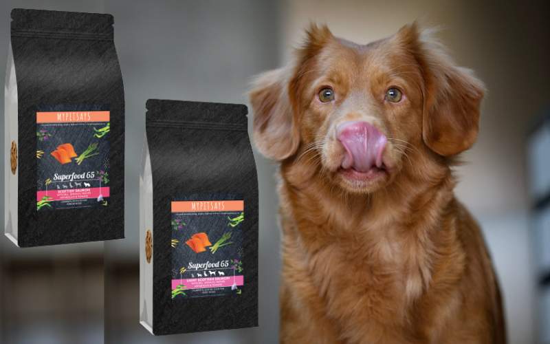 TWO new Superfood 65 Scottish Salmon Recipes for Adult and Senior dogs!