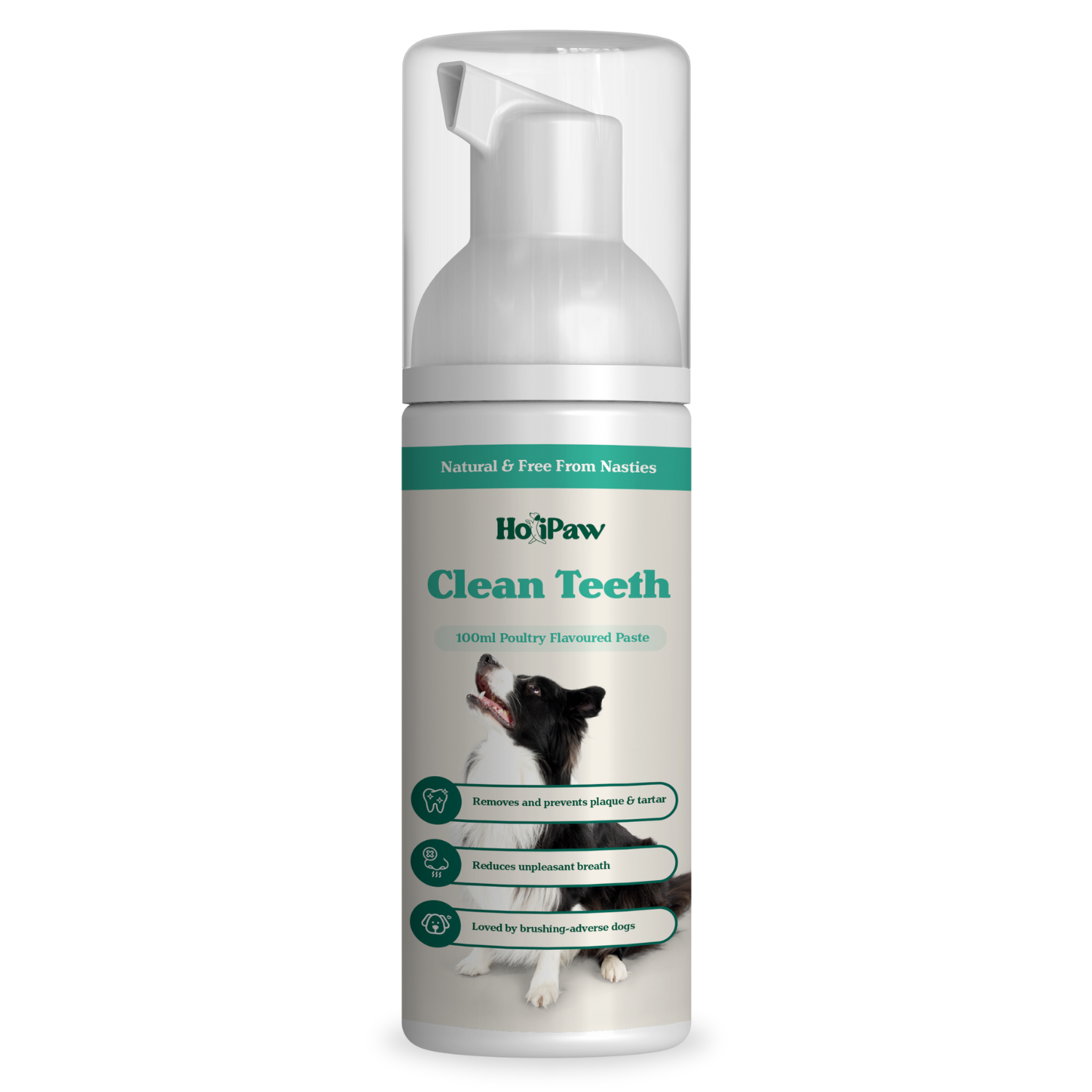 HoliPaw Clean Teeth natural dog toothpaste without brushing for healthy dog teeth and removes dog smelly breath, offers full dental care for dogs, 100ml poultry-flavoured paste for dogs