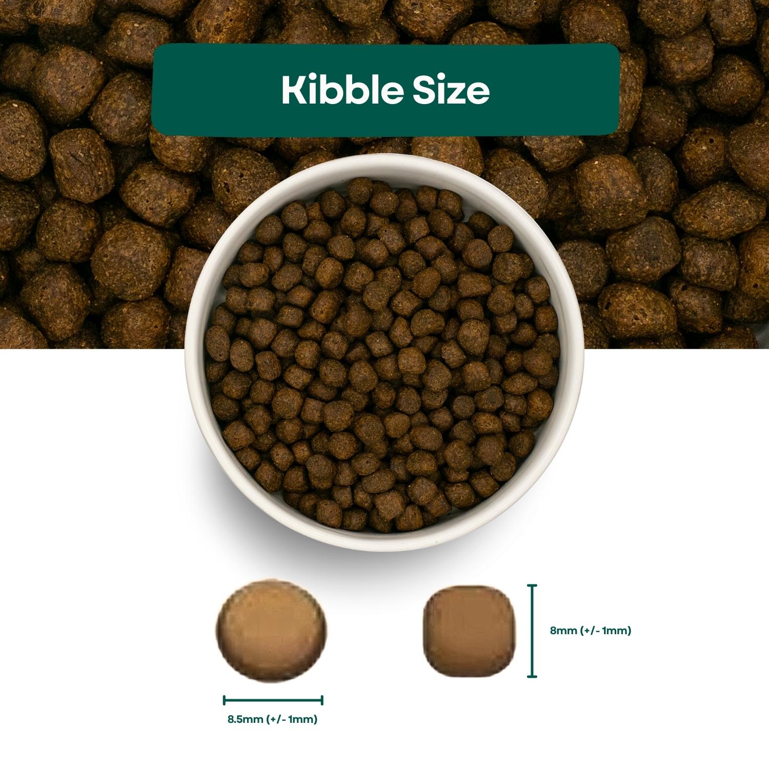 Kibble Size Grain Free Puppy Food - Salmon & Haddock with Sweet Potato & Asparagus