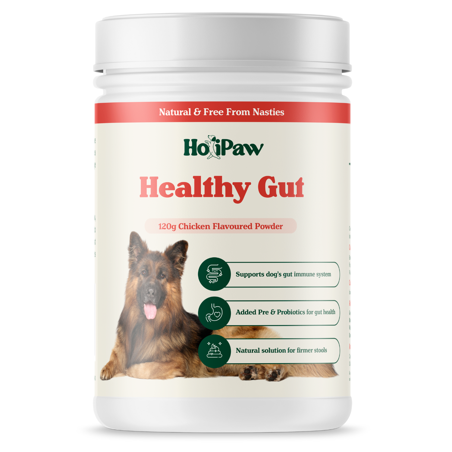 HoliPaw Healthy Gut Pre & Probiotics for Dogs with diarrhea, upset stomach and smelly farting, 120g chicken flavoured powder