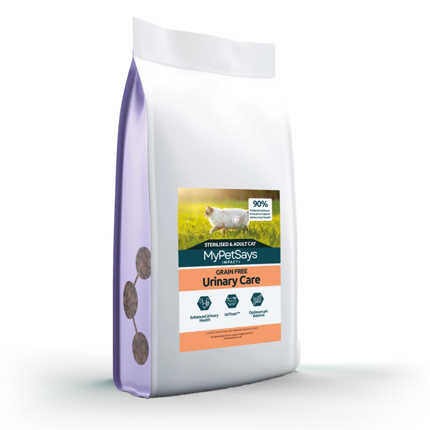 Impact+ Hypoallergenic Cat Food for Urinary Care - Chicken