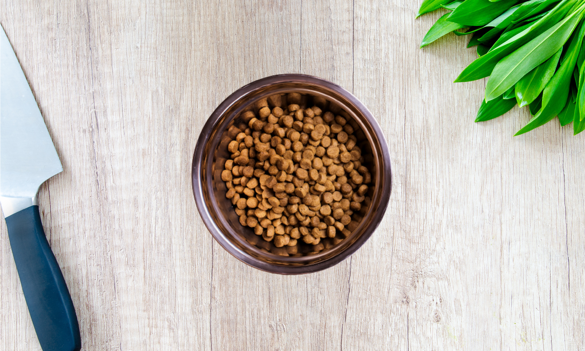 Premium dry dog food