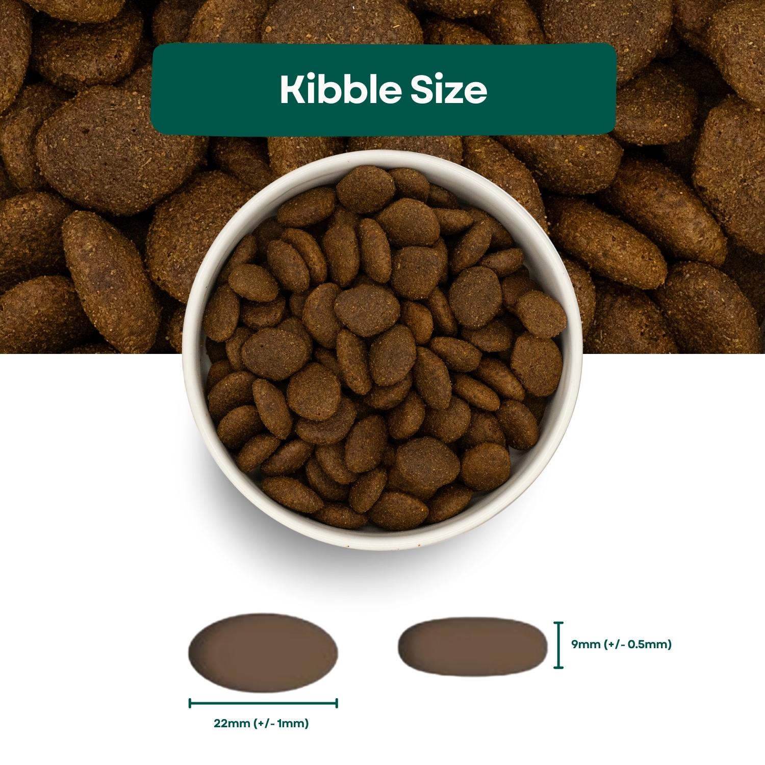 Kibble Size Super Premium Adult Dog Food - Fish & Potato with Itch-Eeze®