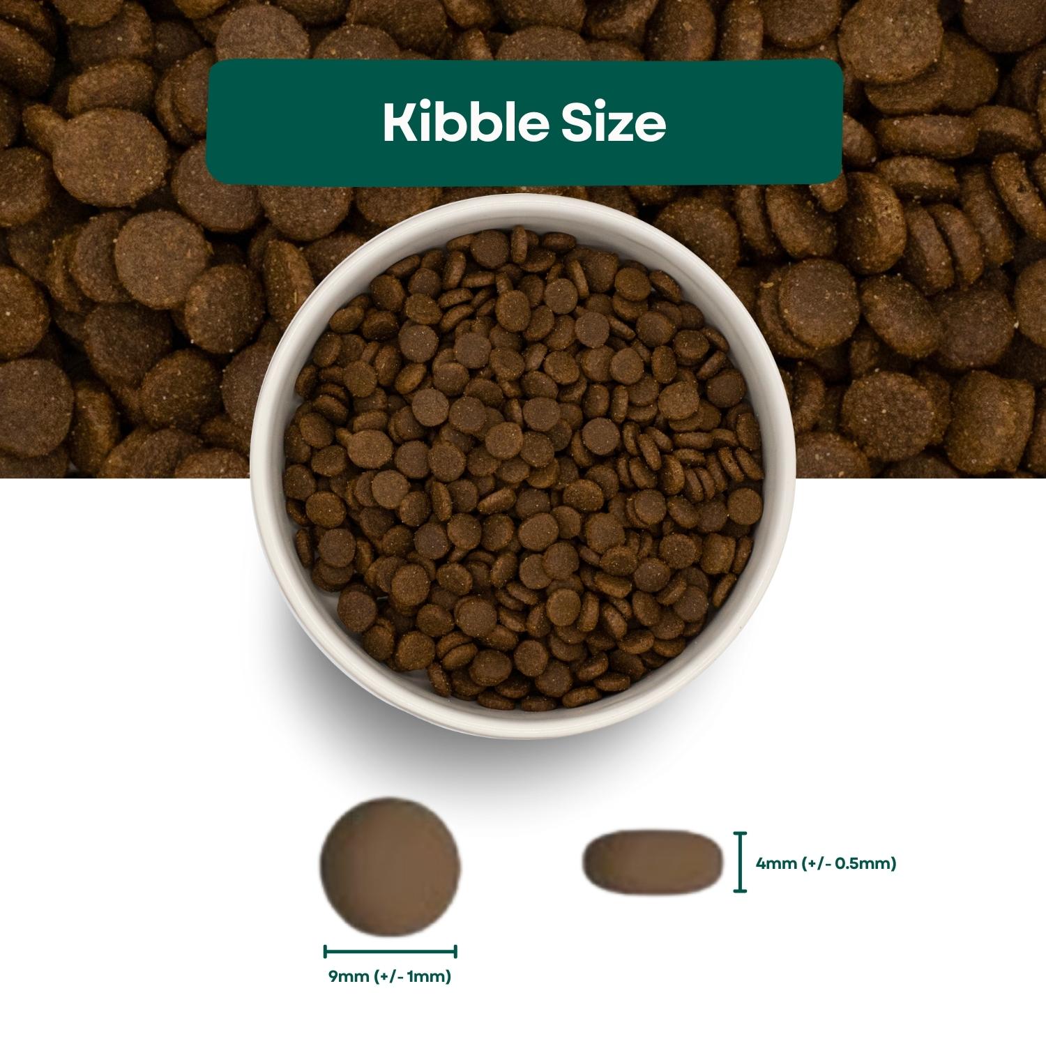 Kibble Size Super Premium Cat Food - Salmon