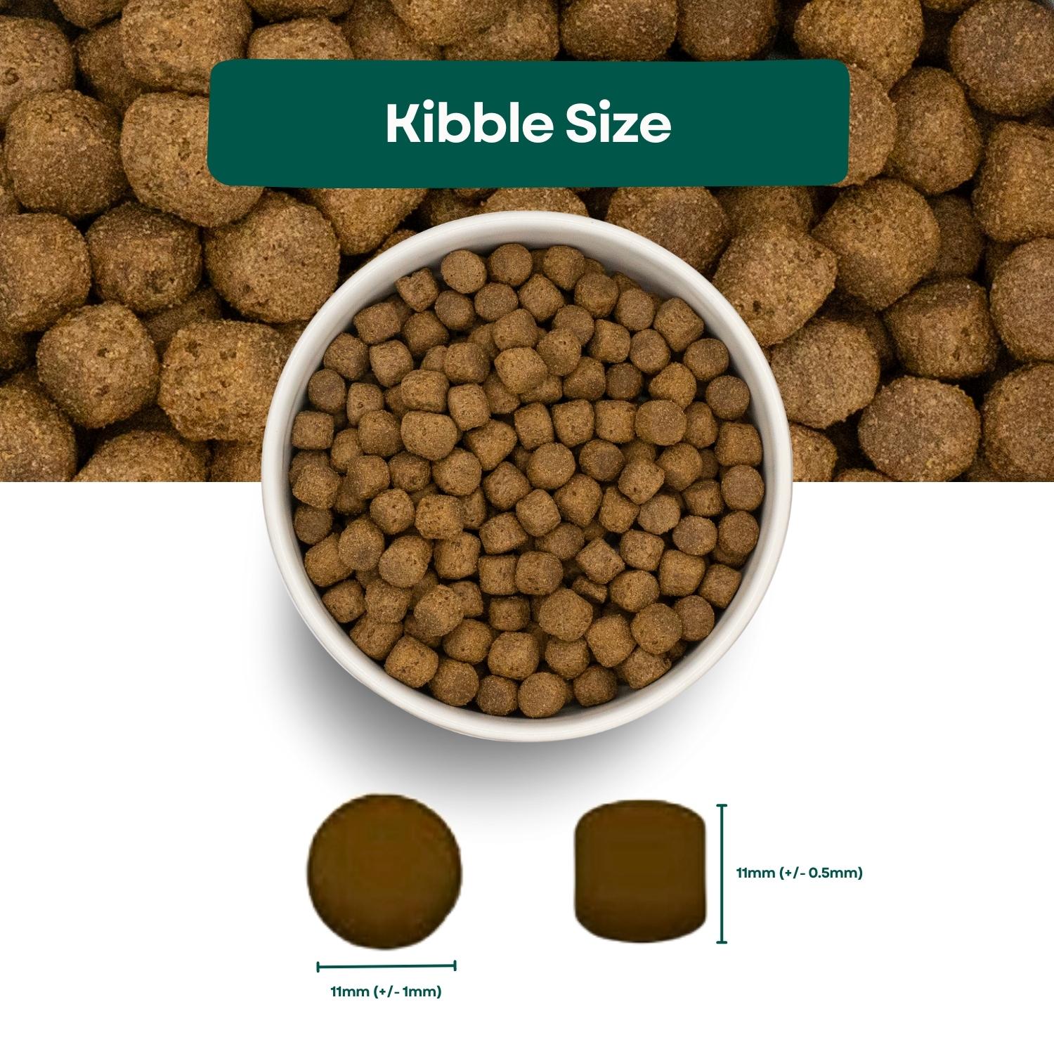 Kibble Size Super Premium Senior Light Dog Food - Fish & Rice