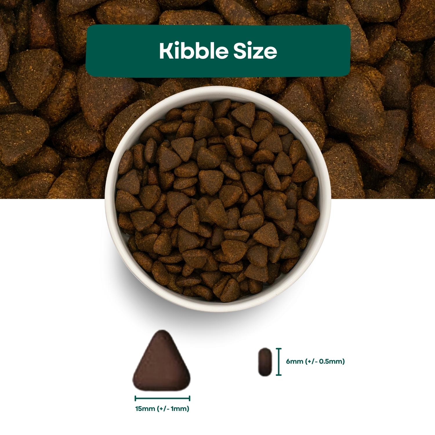 Kibble Size Superfood 65 Adult Dog Food - Scottish Salmon