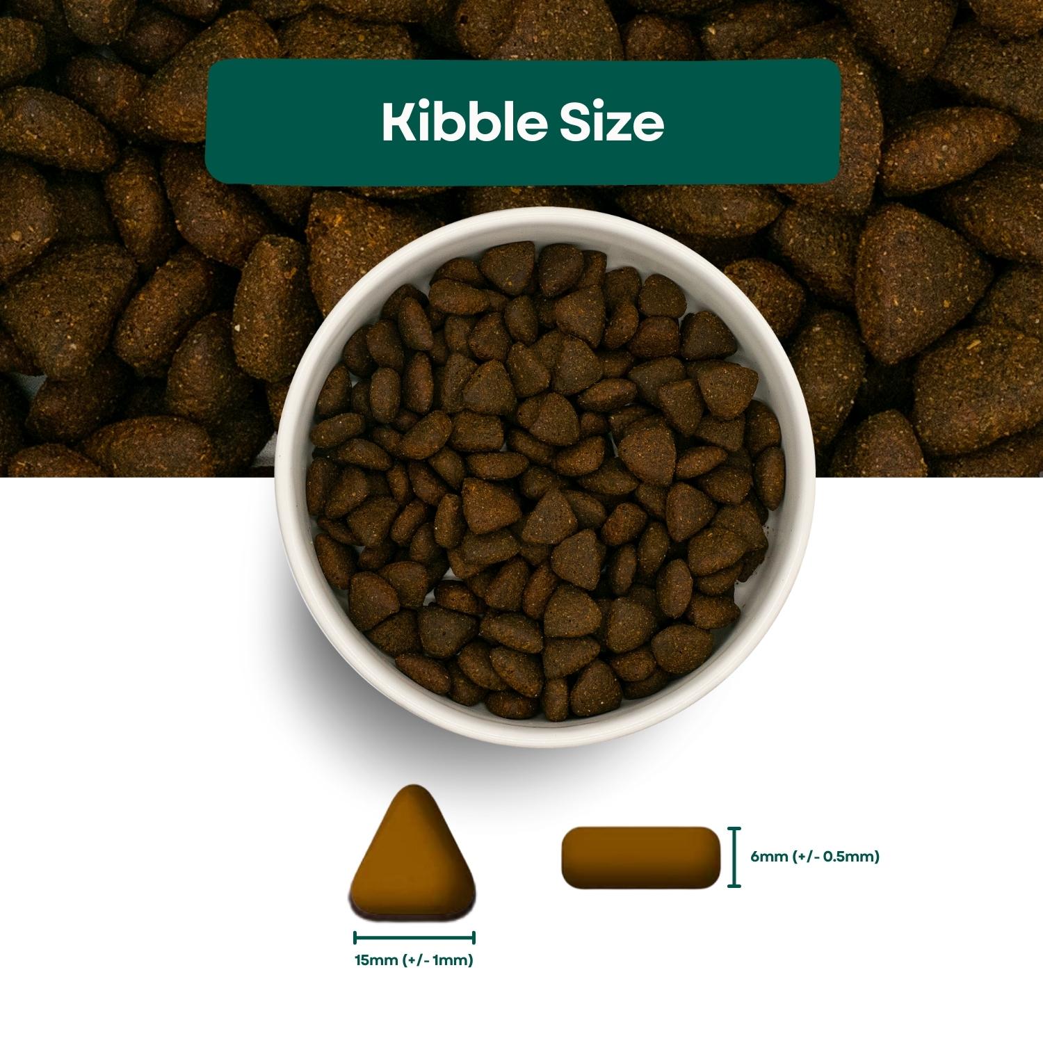 Kibble Size Superfood 65 Senior Dog Scottish Salmon