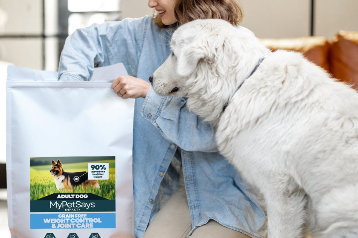 Winter Feeding Tips for Dogs, dog food for weight control