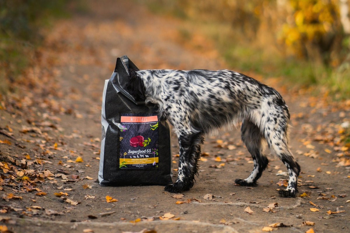 MyPetSays dog food subscription