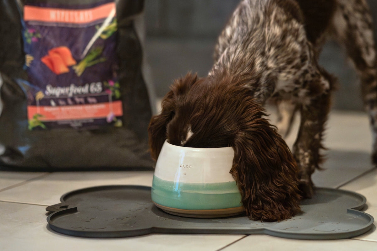 Dog food rich in Collagen