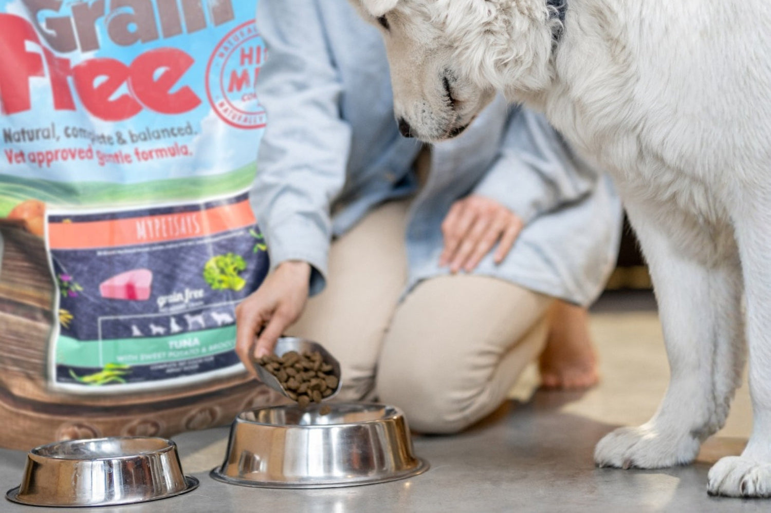 Grain-Free Dog Food: The Right Option for Your Pooch?