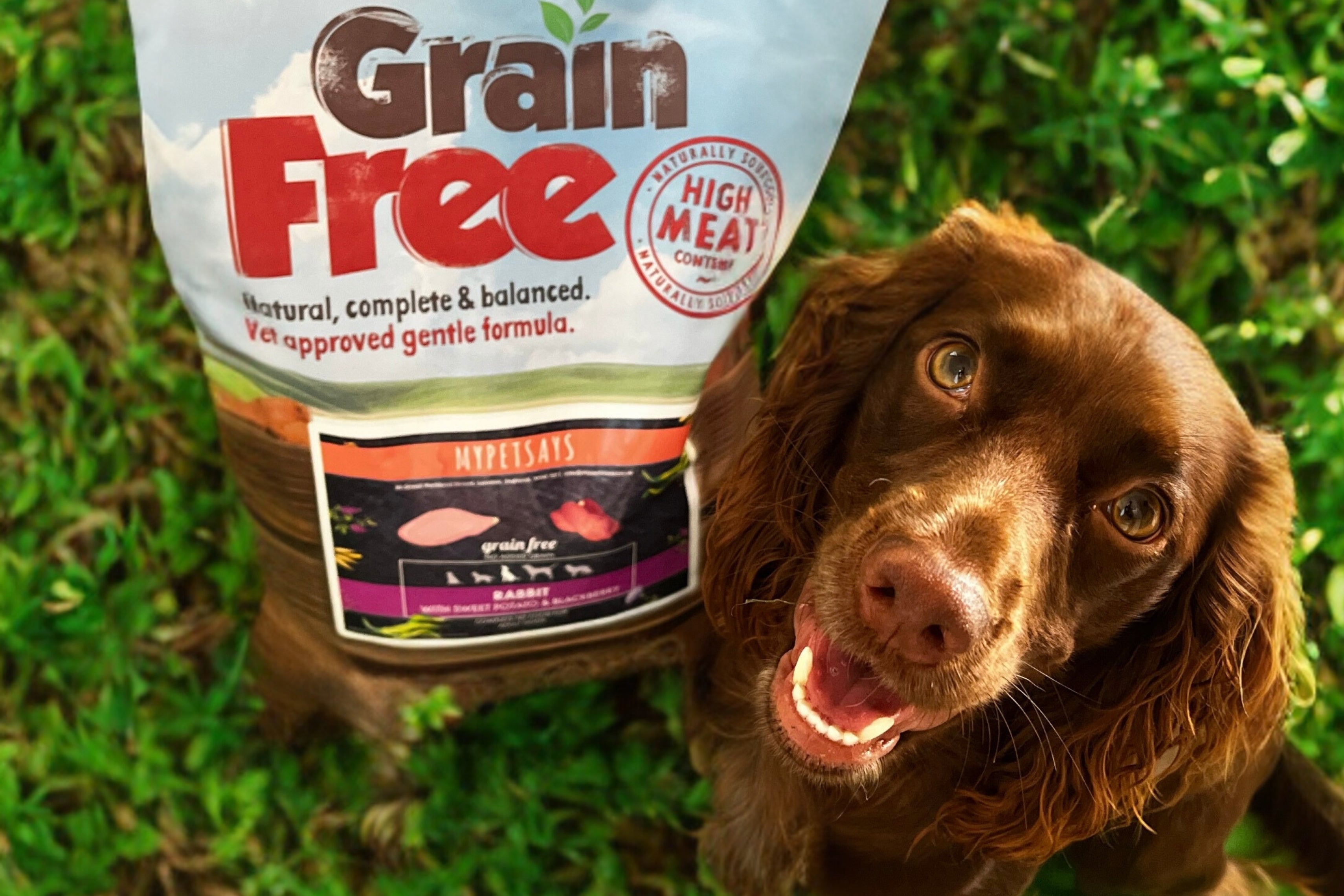 Easy to Digest Dog Food Grain Free Dog Food - Rabbit with Turkey, Sweet Potato & Blackberry