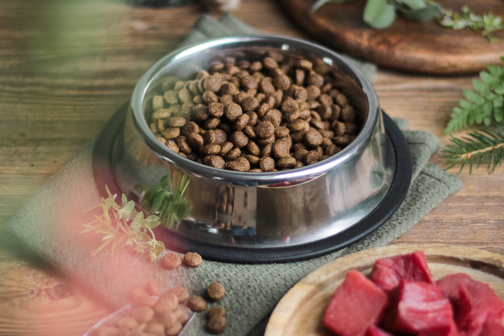 How to choose the right dog food - premium dry dog food