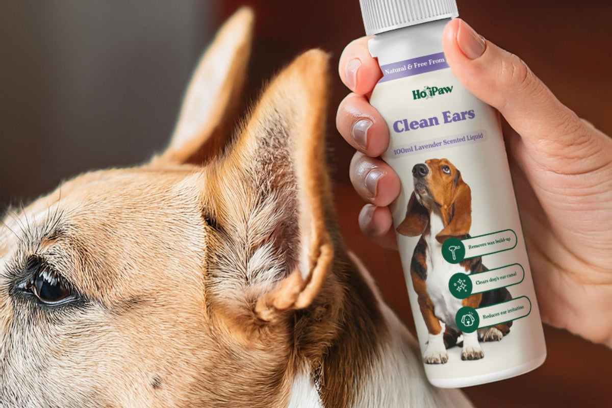 how to clean dogs ears