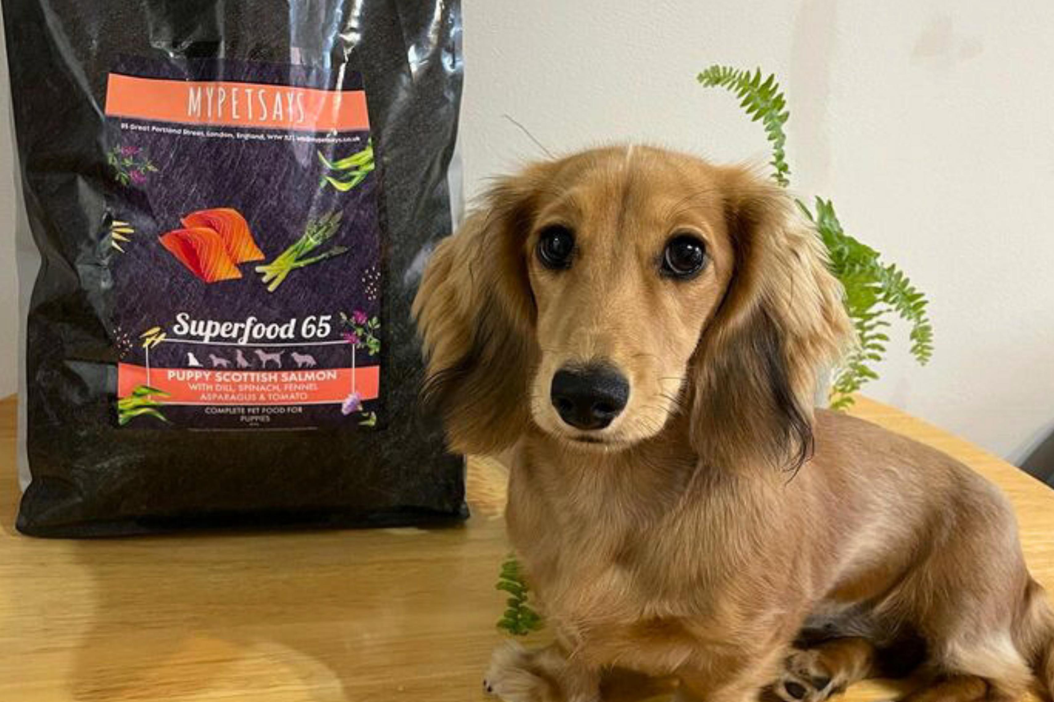 Reasons to choose MyPetSays Superfood 65 - Dachshund Puppy with Superfood 65