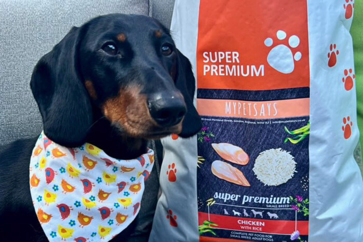 MyPetSays Super Premium Dog Food Range