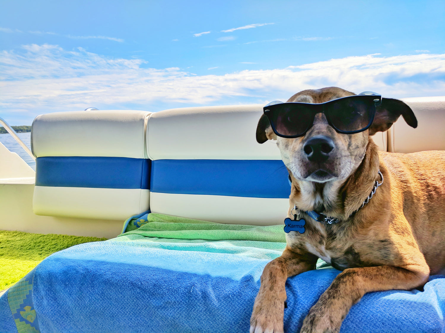 3 dog-friendly hotels in Cornwall