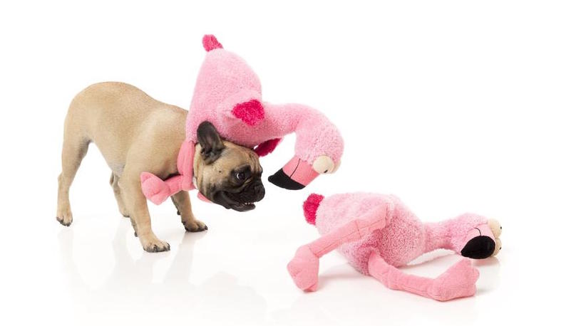 Top 8 dog toys to gift your pooch this Christmas! | Dogmas Series