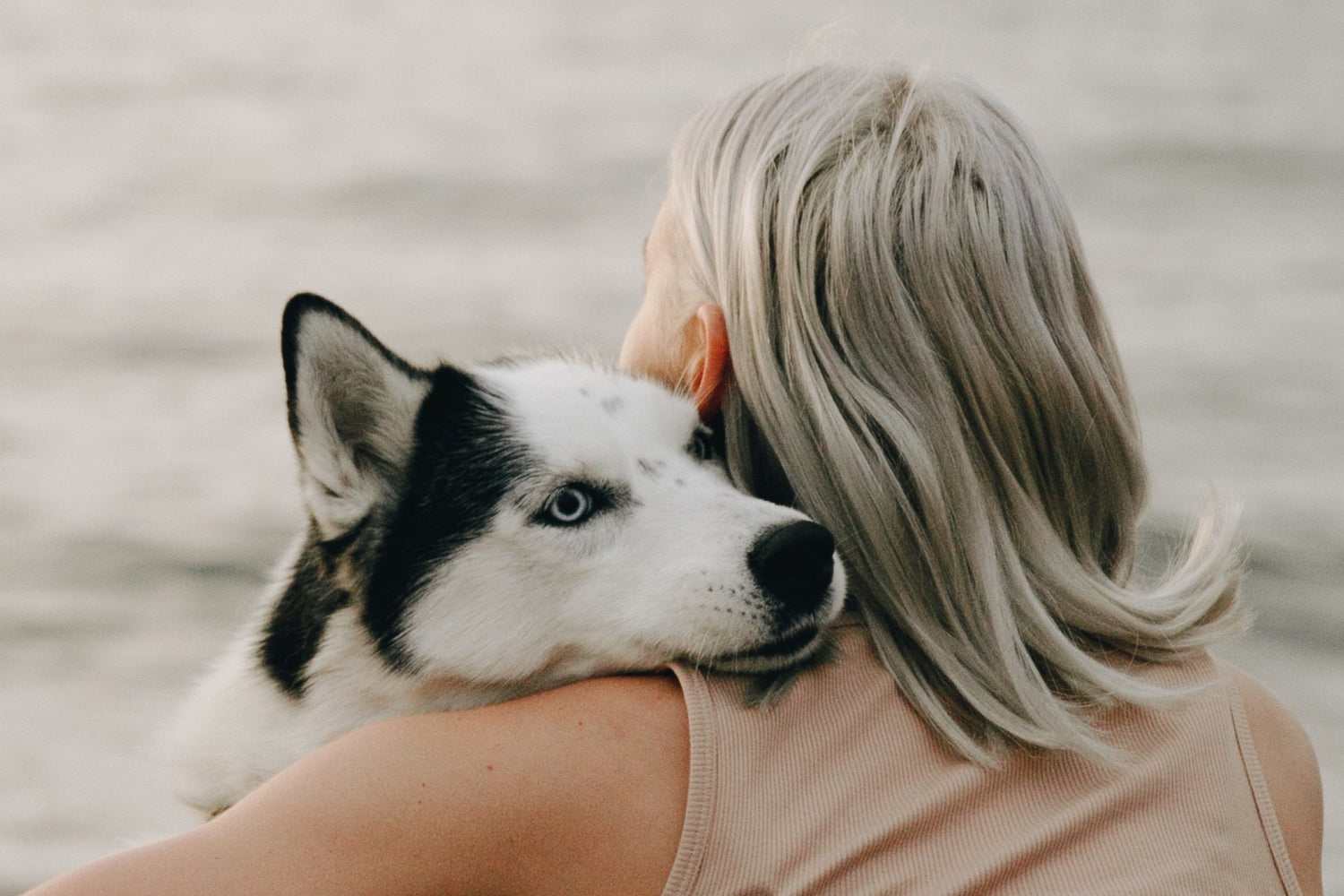World Mental Health Day: How Having a Dog Can Improve Mental Health