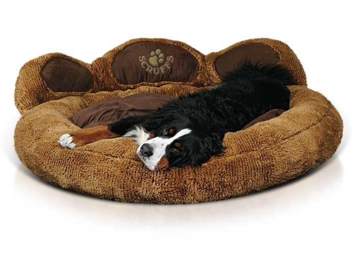 How to choose the perfect dog bed (and our top 5 beds)