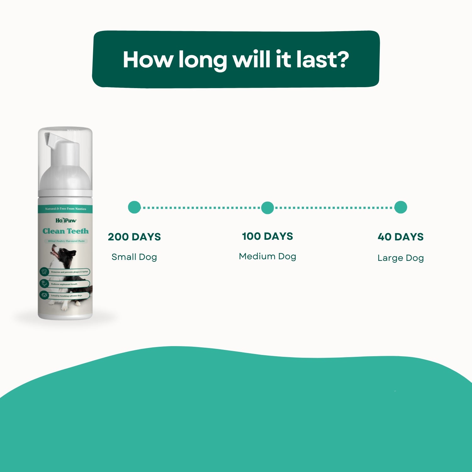 How long will last HoliPaw Clean Teeth natural dog toothpaste,  100ml poultry-flavoured paste lasts 6.5 month for small dog