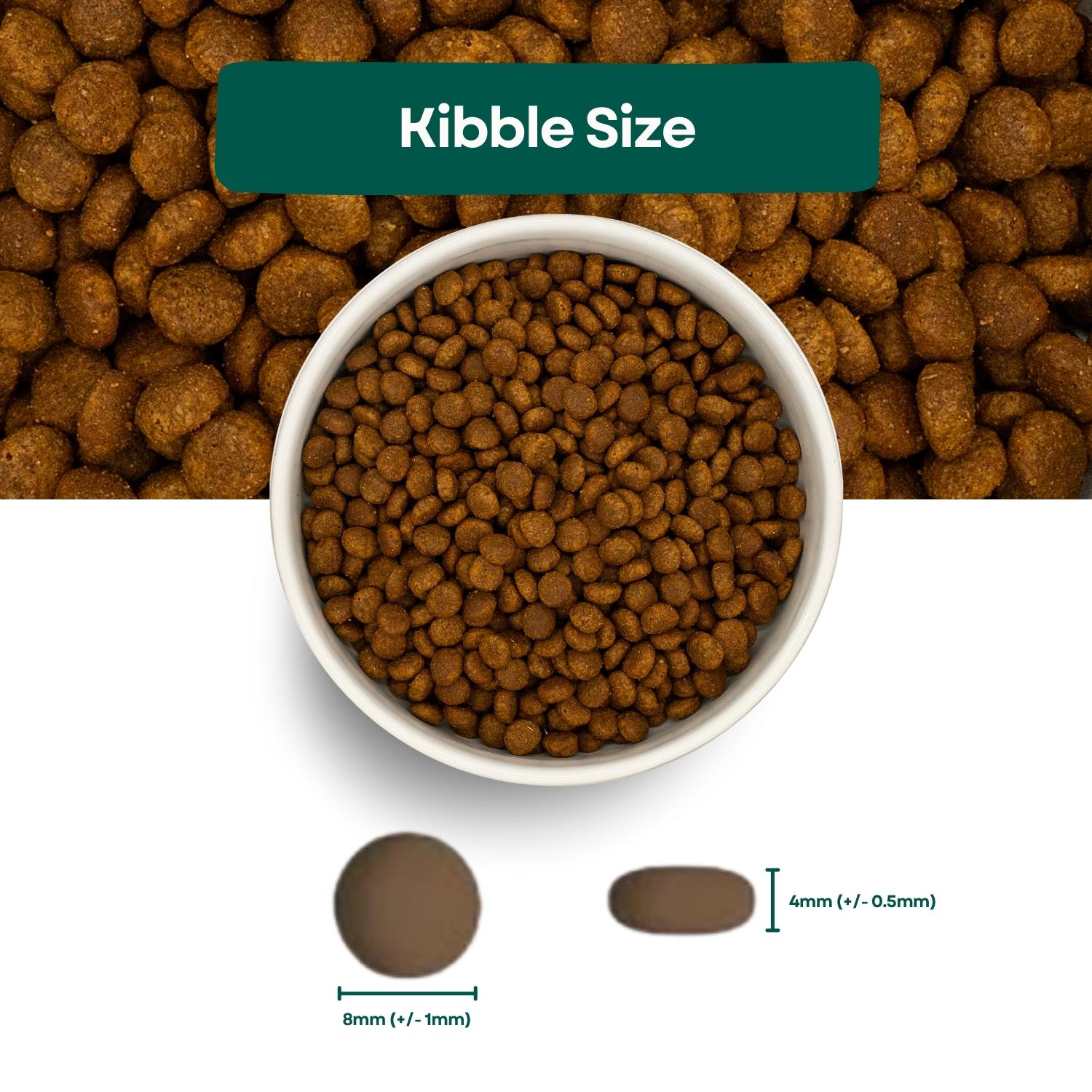 Kibble Size Connoisseur Grain Free Kitten Food - Turkey & Chicken