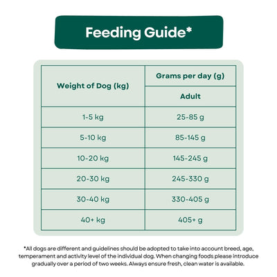 Grain Free Dog Food - Chicken, Sweet Potato & Herbs