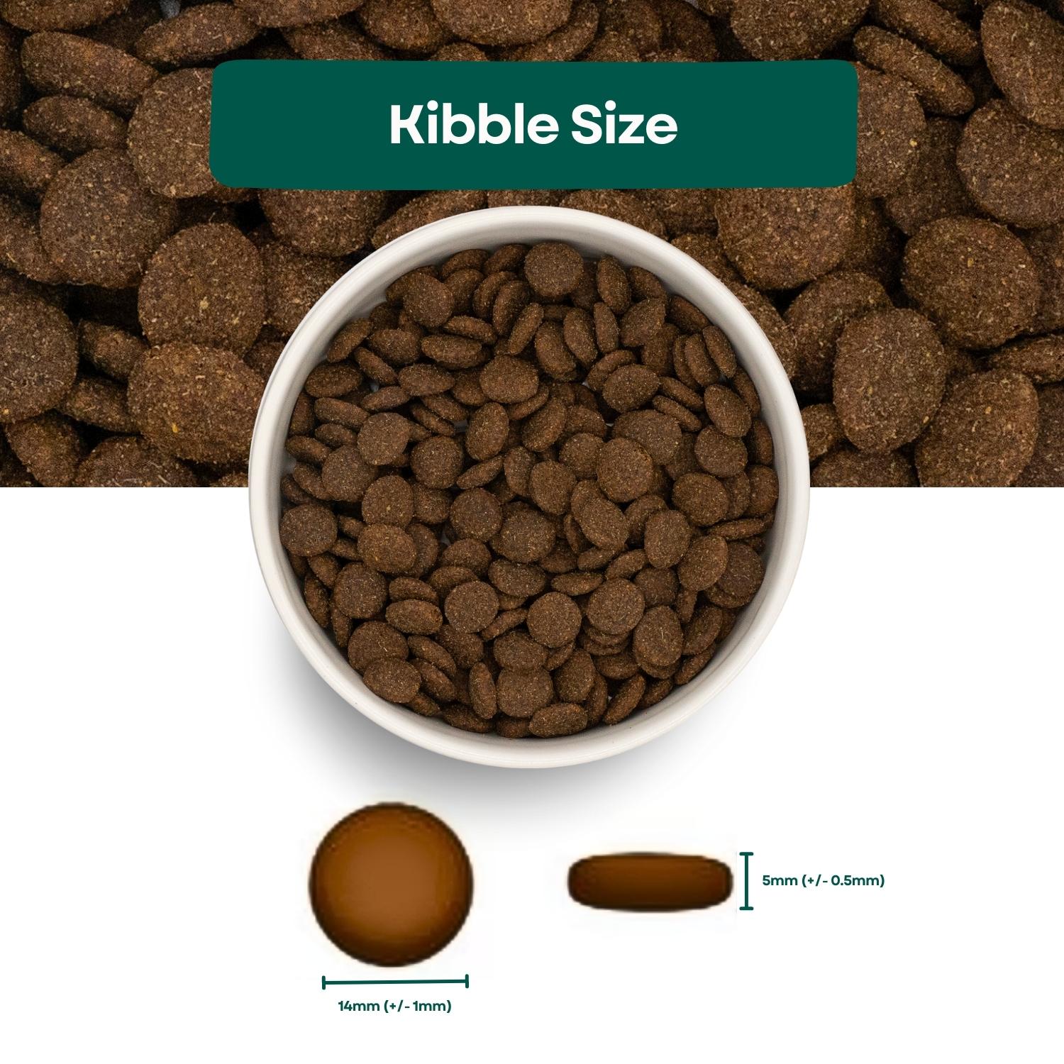 Kibble Size Grain Free Dog Food - Lamb, Sweet Potato & Mint