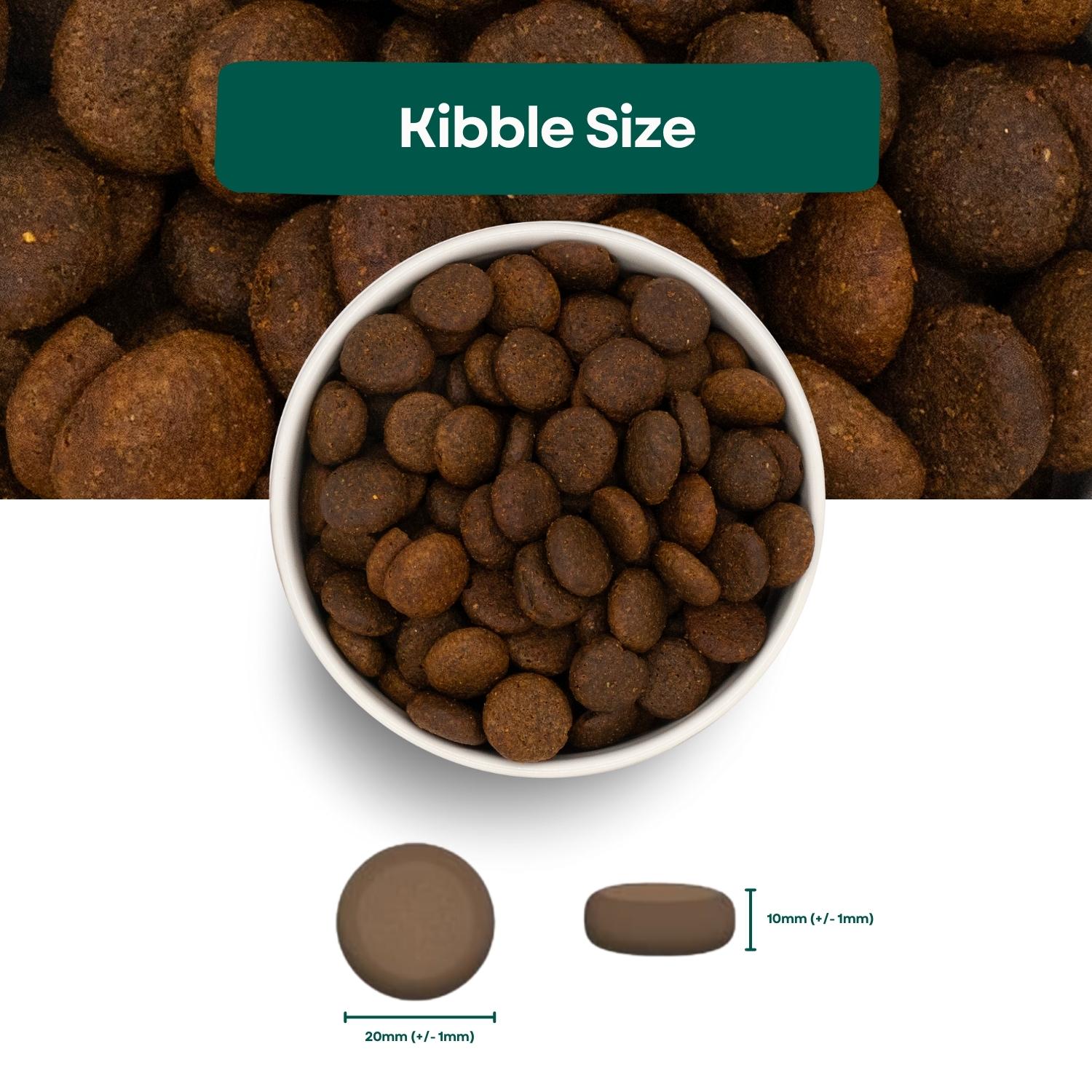 Kibble Size Grain Free Large Breed Dog Food- Salmon with Trout, Sweet Potato & Asparagus