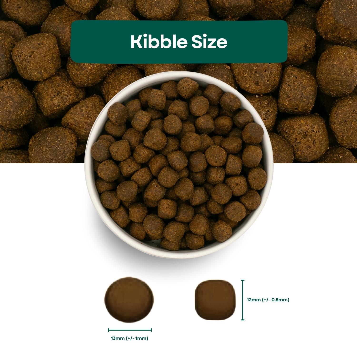Kibble Size Grain Free Large Breed Puppy Food - Salmon with Sweet Potato & Vegetables