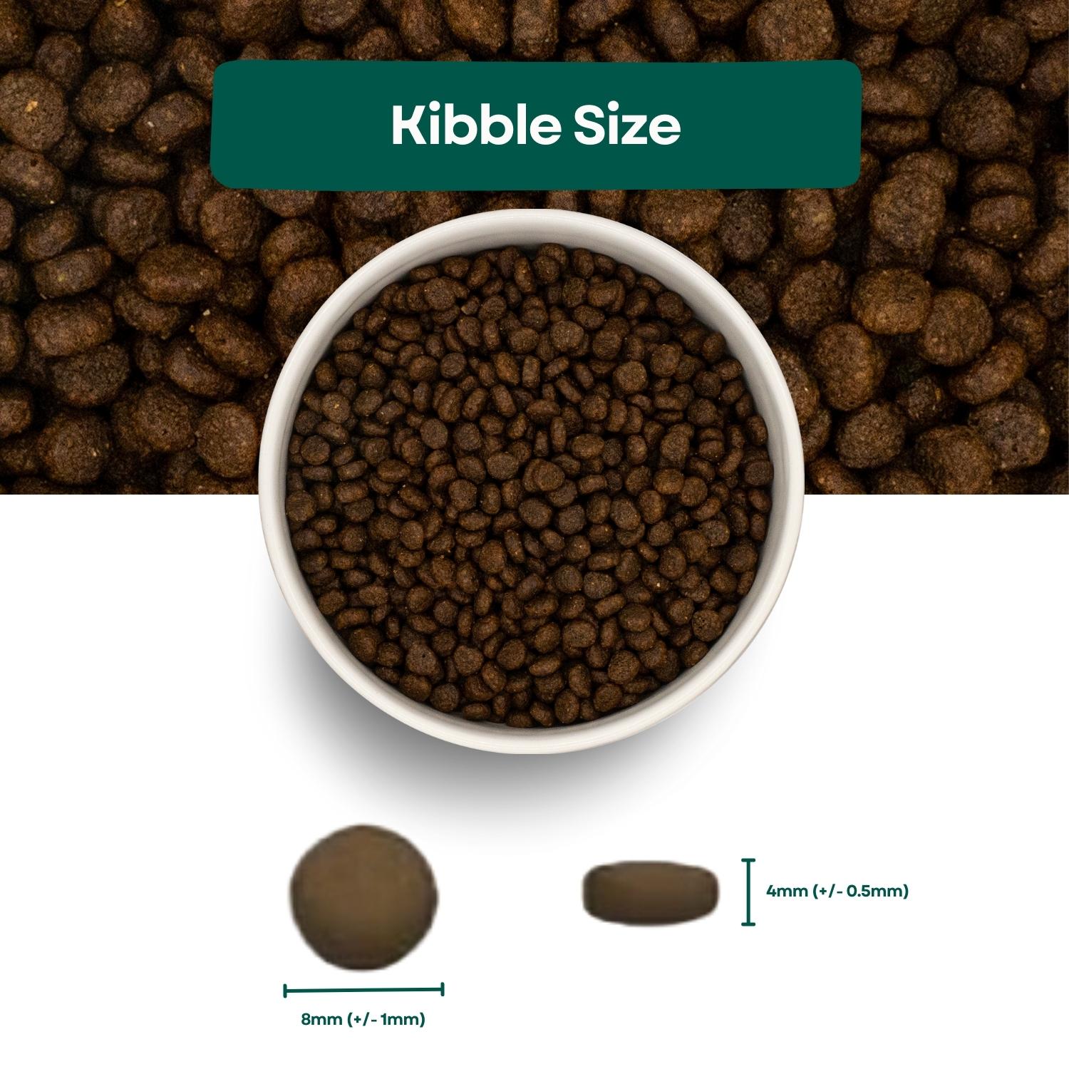 Small kibble hot sale cat food