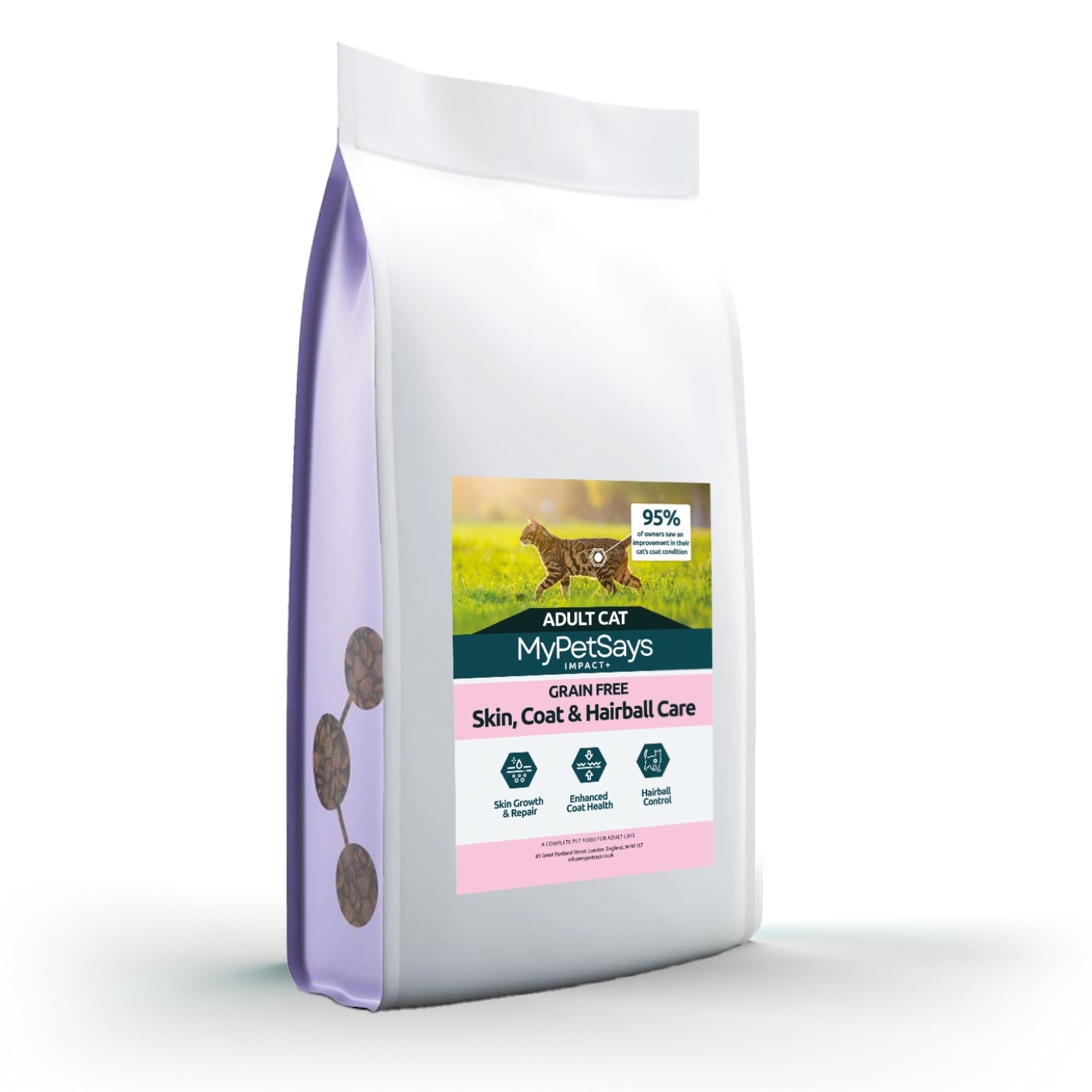 Impact+ Hypoallergenic Cat Food for Skin, Coat & Hairball Care - Salmon