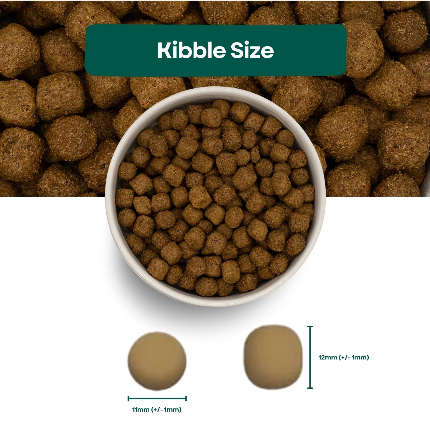Kibble Size Naturals Senior Light Dog Food - Turkey & Rice