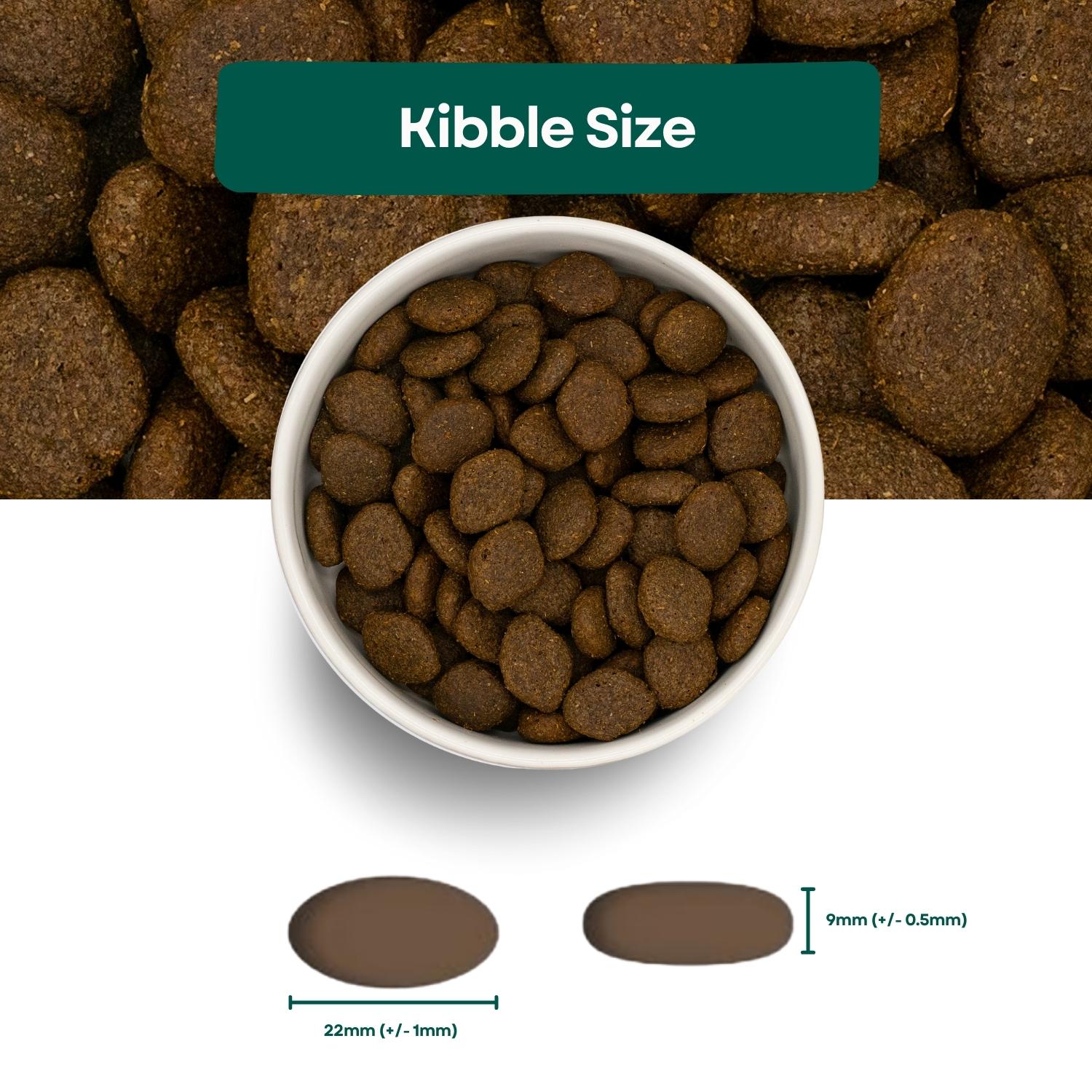 Kibble Size Super Premium Adult Dog Food - Salmon & Potato