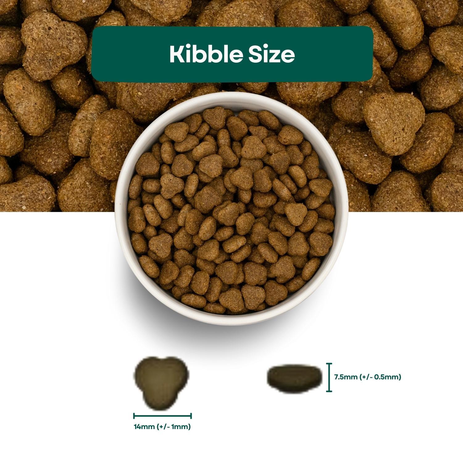 Kibble Size Super Premium Adult Dog Food - Turkey & Rice