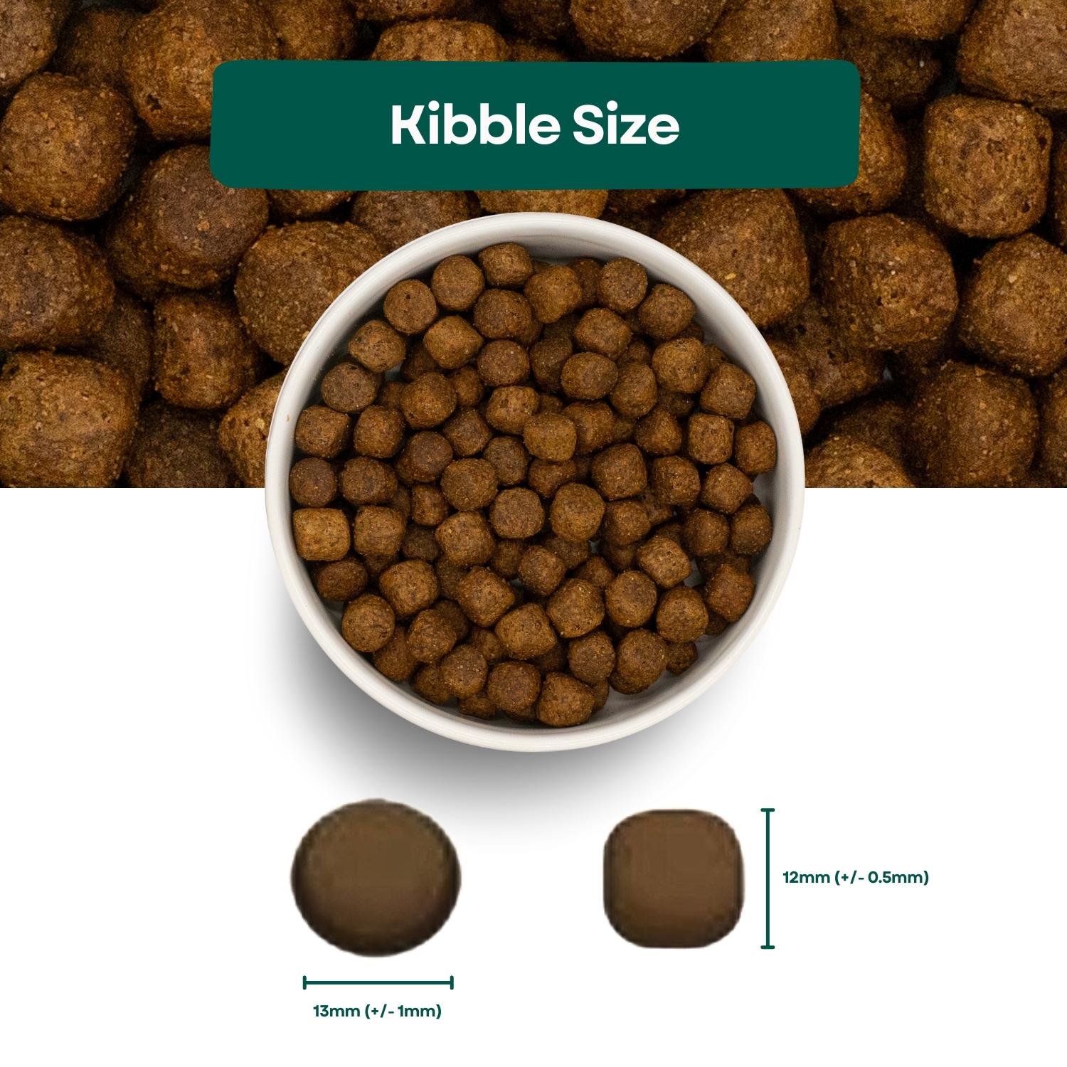 Kibble Size Super Premium Adult No Added Grain or Cereal Dog Food - Duck & Potato