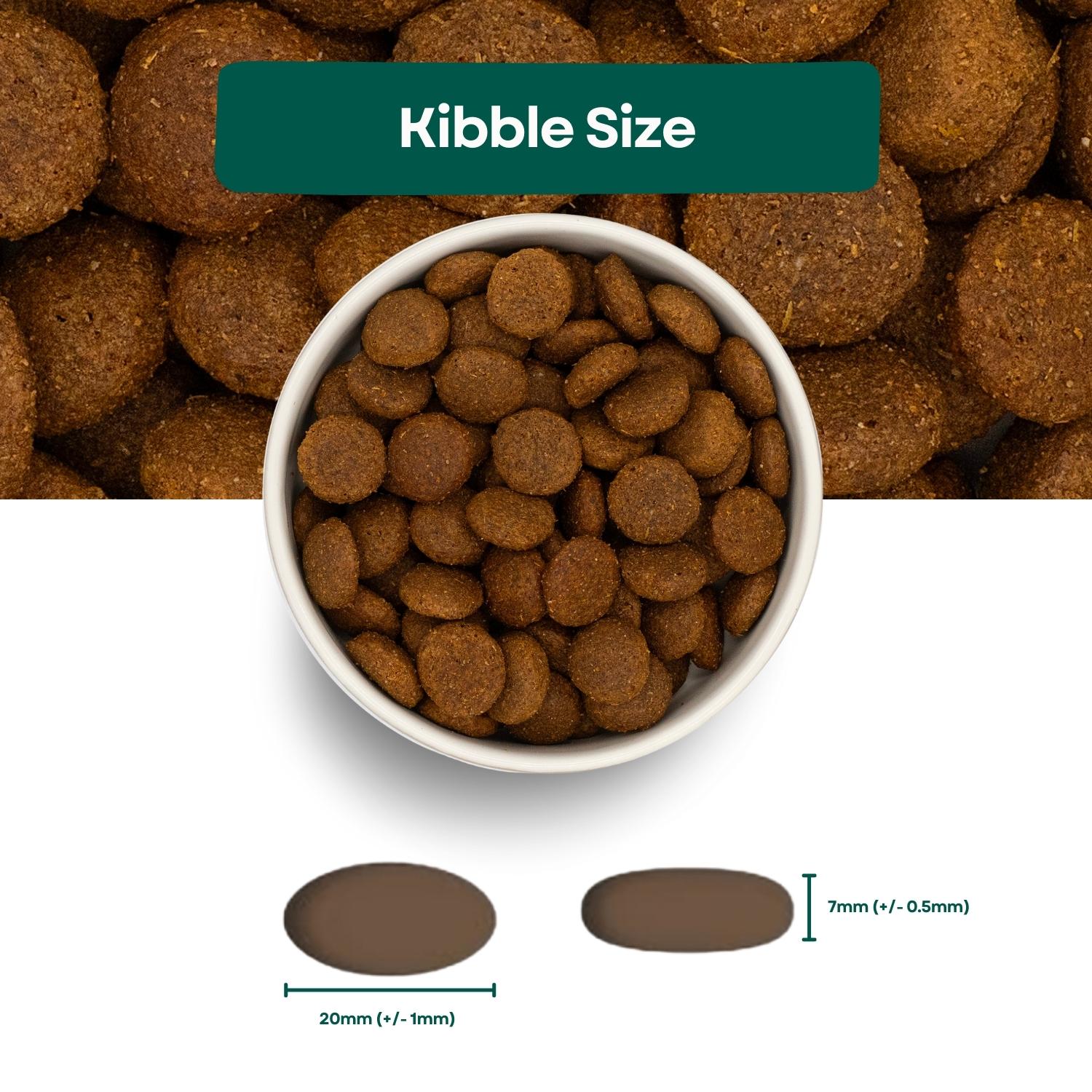 Large kibble dog food best sale