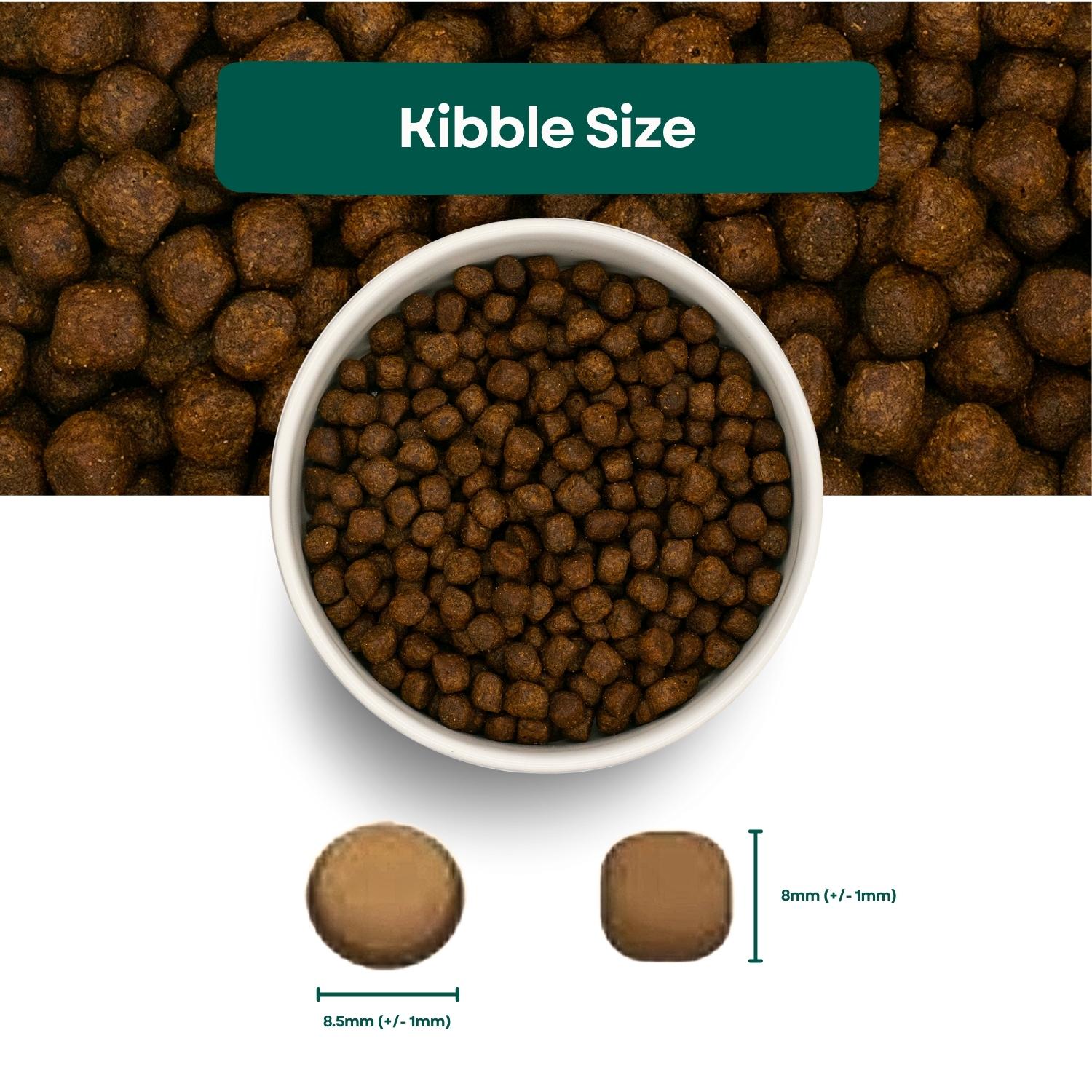 Kibble Size Super Premium Puppy Food Chicken and Rice